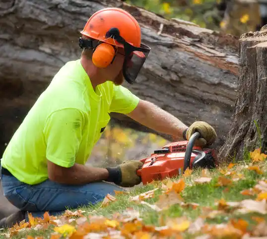 tree services Valencia